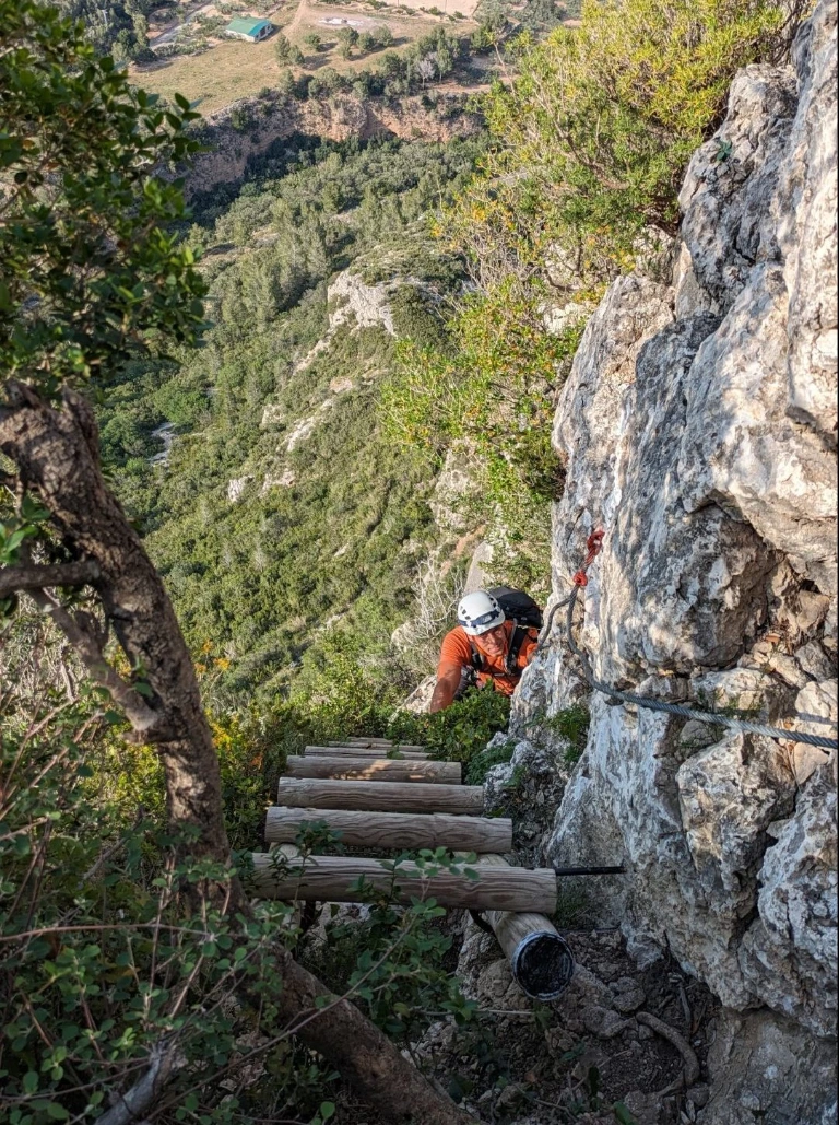 Houten ladder penyaflor