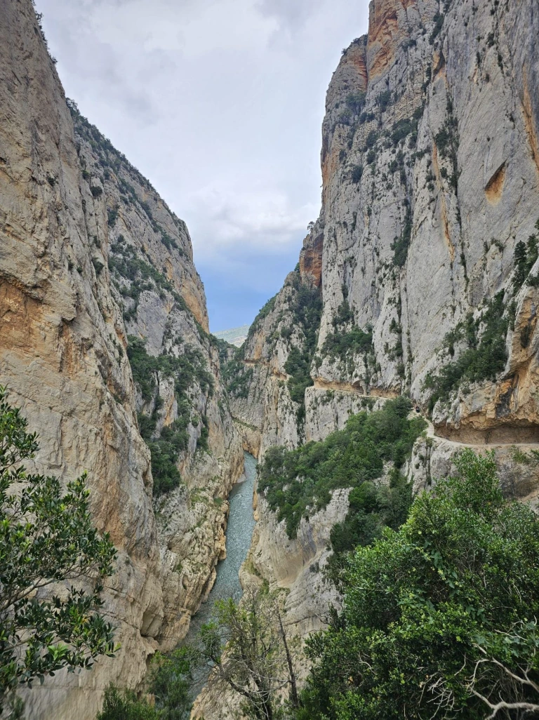 De Camino Natural de Montfalcó